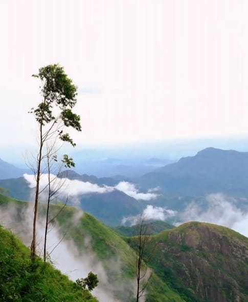 Chikmagalur Tour Package
