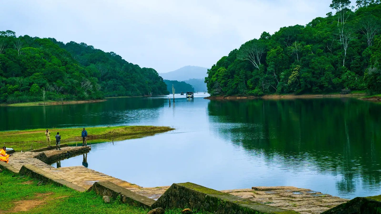 Periyar Lake Travel cover image