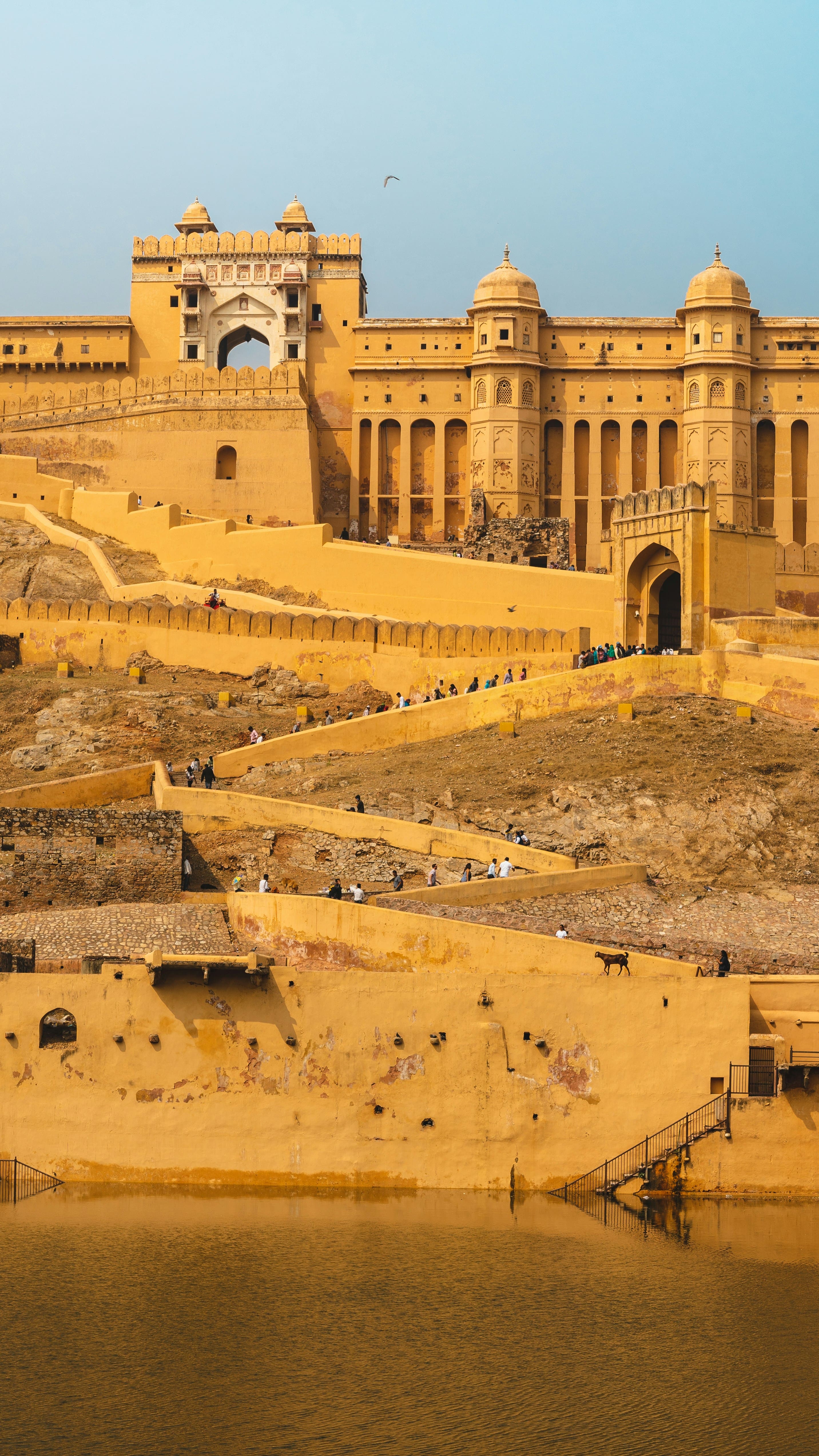 Rajasthan Travel cover image