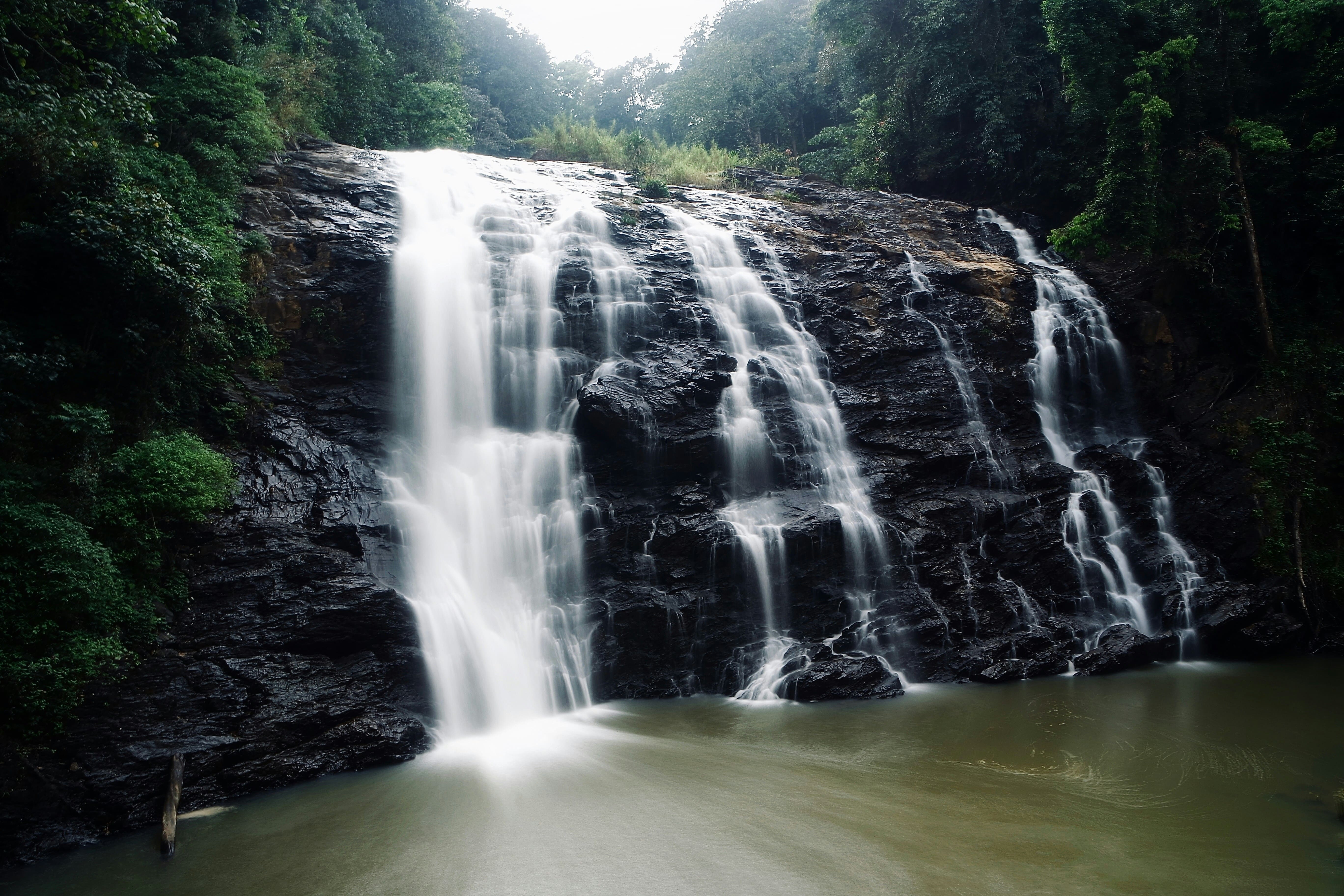 Coorg Travel cover image