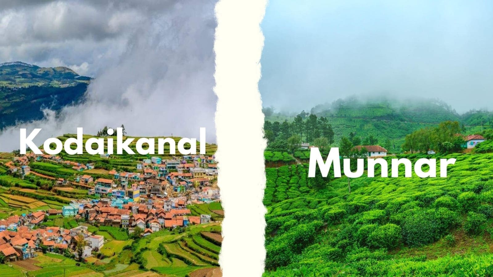 Munnar Travel cover image