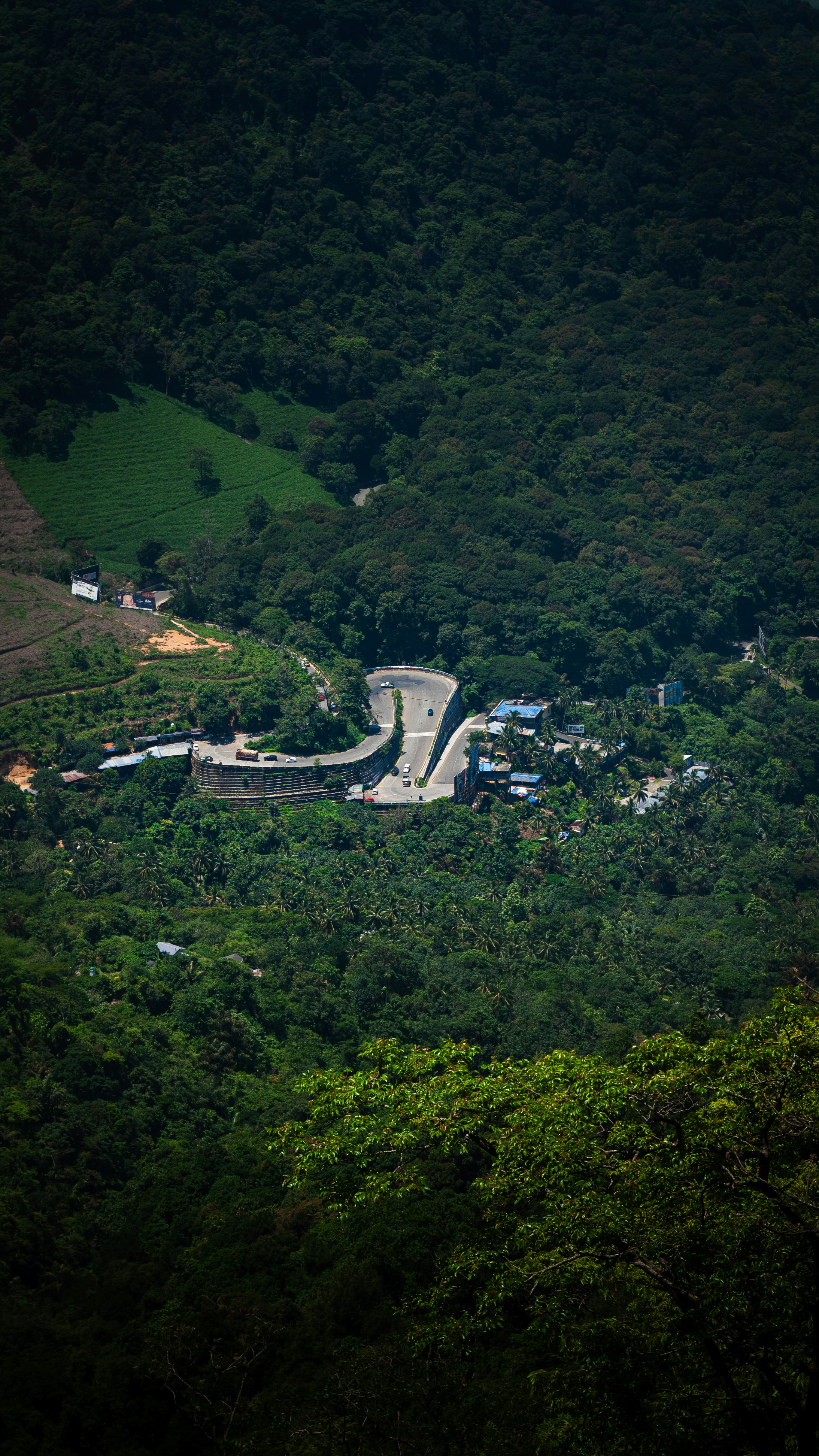 Wayanad Travel cover image